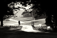 The Fisherman - Botany Bay National park