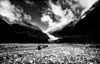 Franz Josef Glacier NZ