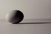 The Egg