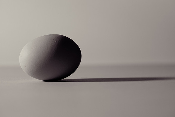 The Egg