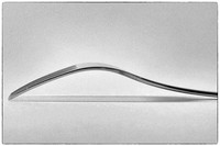 The Fork