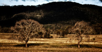 Kangaroo Valley