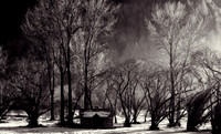Arrowtown, NZ