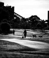 Sydney Park, St Peters