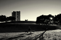 Sydney park, St Peters