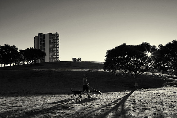 Sydney park, St Peters
