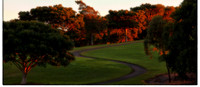Sydney park, St Peters