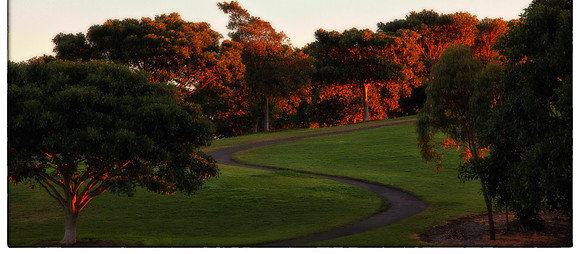 Sydney park, St Peters