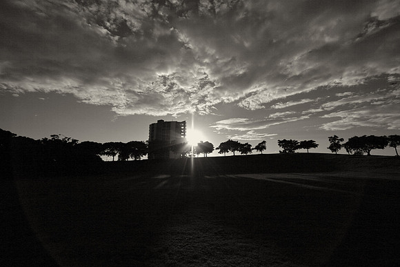 Zenix, St Peters, Sydney park