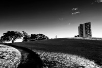 Sydney Park, St Peters