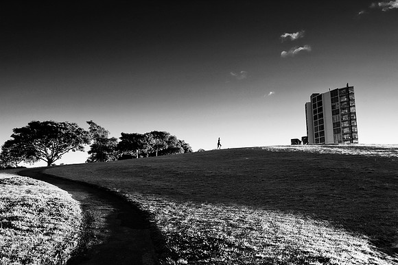 Sydney Park, St Peters
