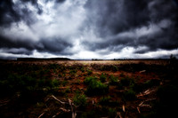 Tasmania NorthWest