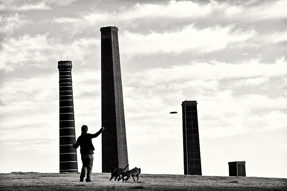 Sydney park, St Peters